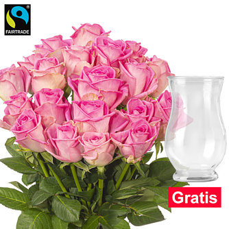 20 pinke Fairtrade Rosen im Bund mit Vase