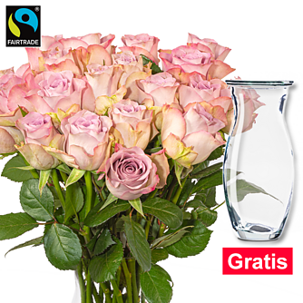 20 rosa Fairtrade Rosen im Bund mit Vase