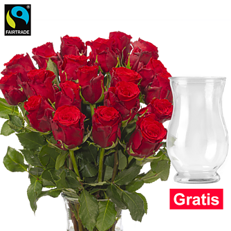 Rote Fairtrade Rosen im Bund mit Vase