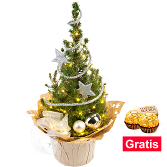 Weihnachtsbaum Sternenglanz mit Lichterkette & mit 2 Ferrero Rocher