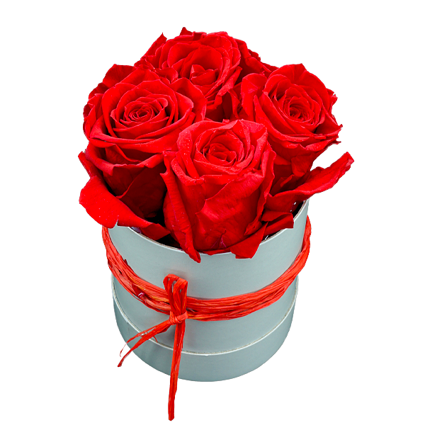 4 rote haltbare Rosen in Hutschachtel