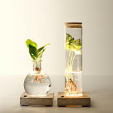 2er-Set Waterplants mit LED-Lichtern